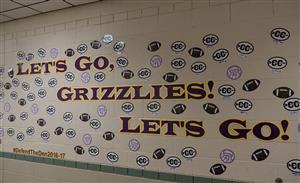 Grizzly Den 